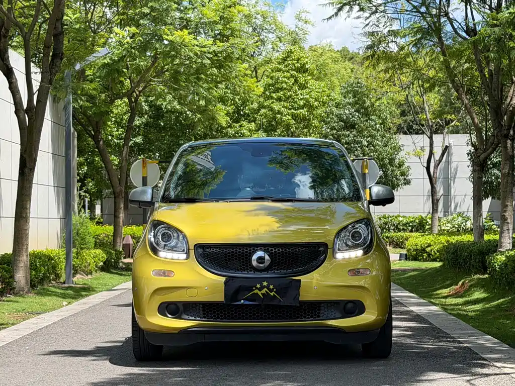 smart Smart Forfour — фото 2