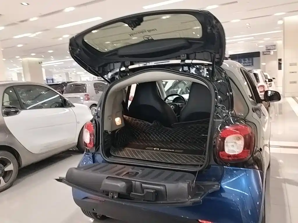 smart Smart Fortwo — фото 19