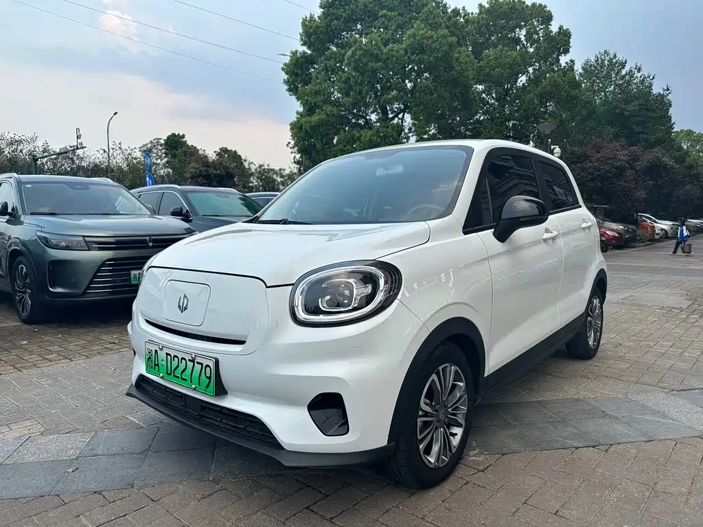 Leapmotor Leapmotor T03