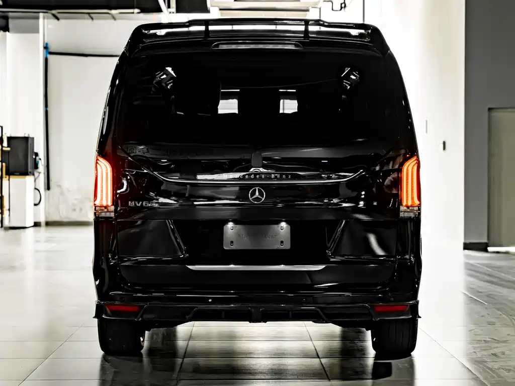 Mansory Mansory V-Class — фото 5