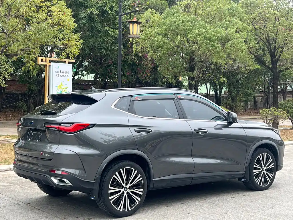 Oshan Oushang X5 — фото 21