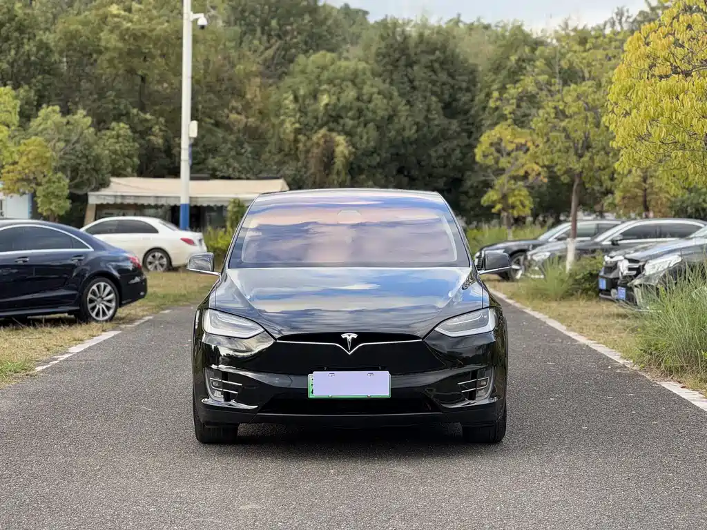 Tesla Model X — фото 2