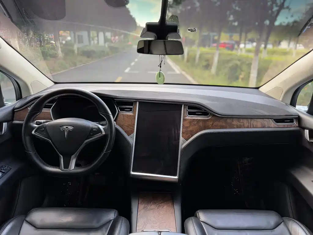 Tesla Model X — фото 11