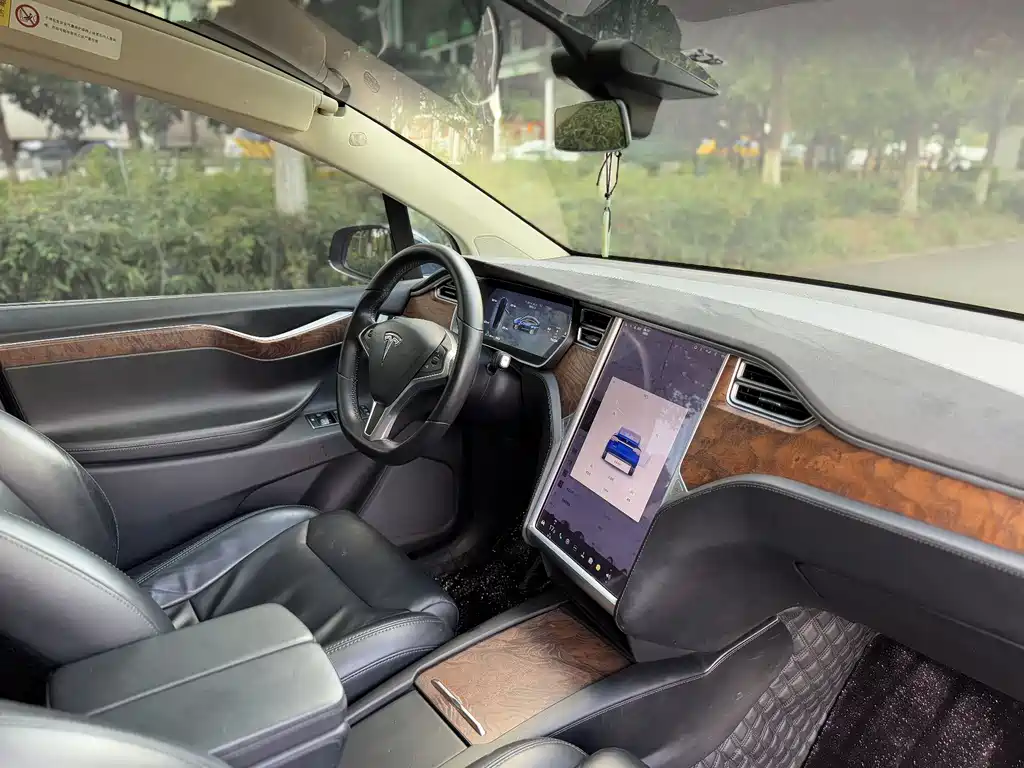 Tesla Model X — фото 15