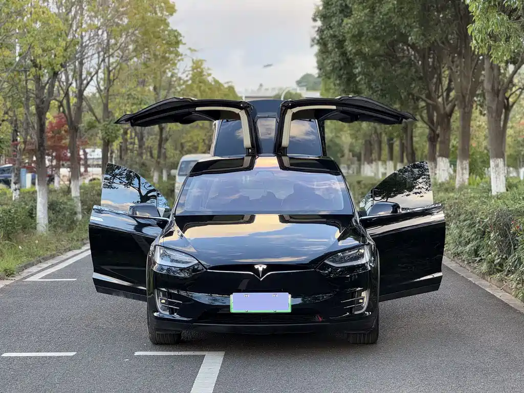 Tesla Model X — фото 18