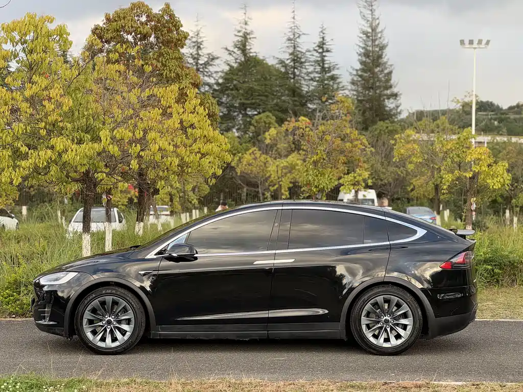 Tesla Model X — фото 3