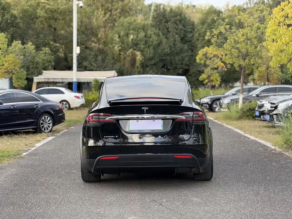 Tesla Model X — фото 4