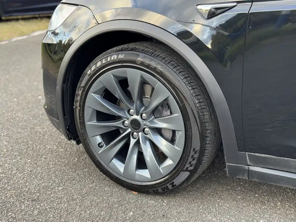 Tesla Model X — фото 6