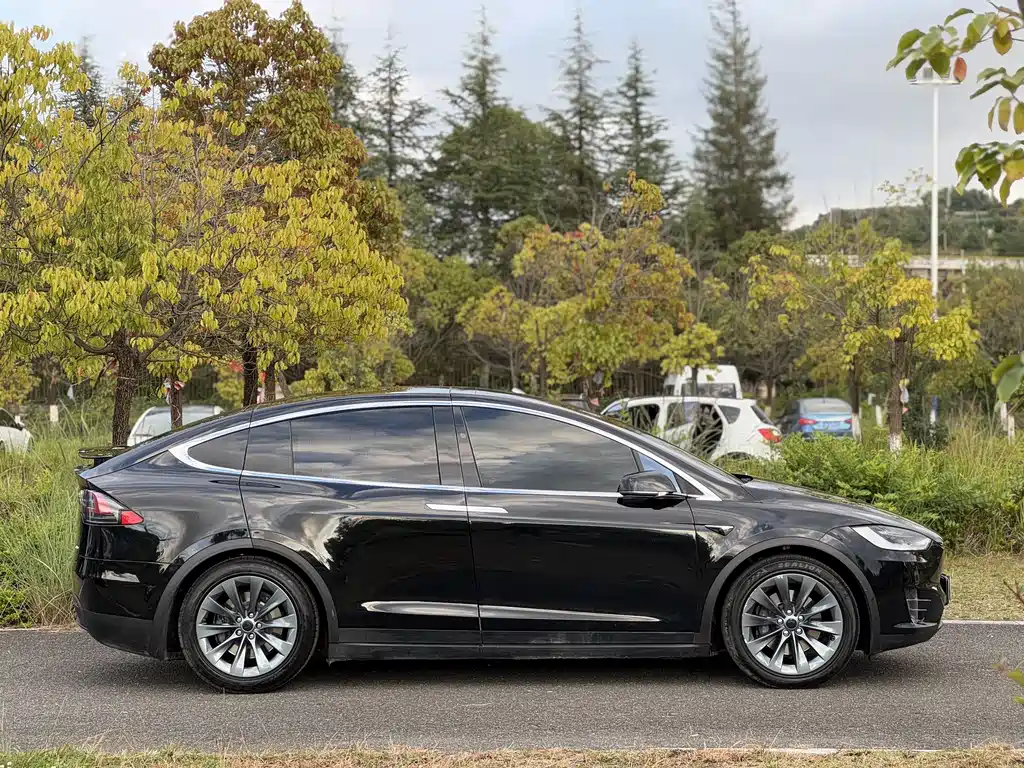 Tesla Model X — фото 8