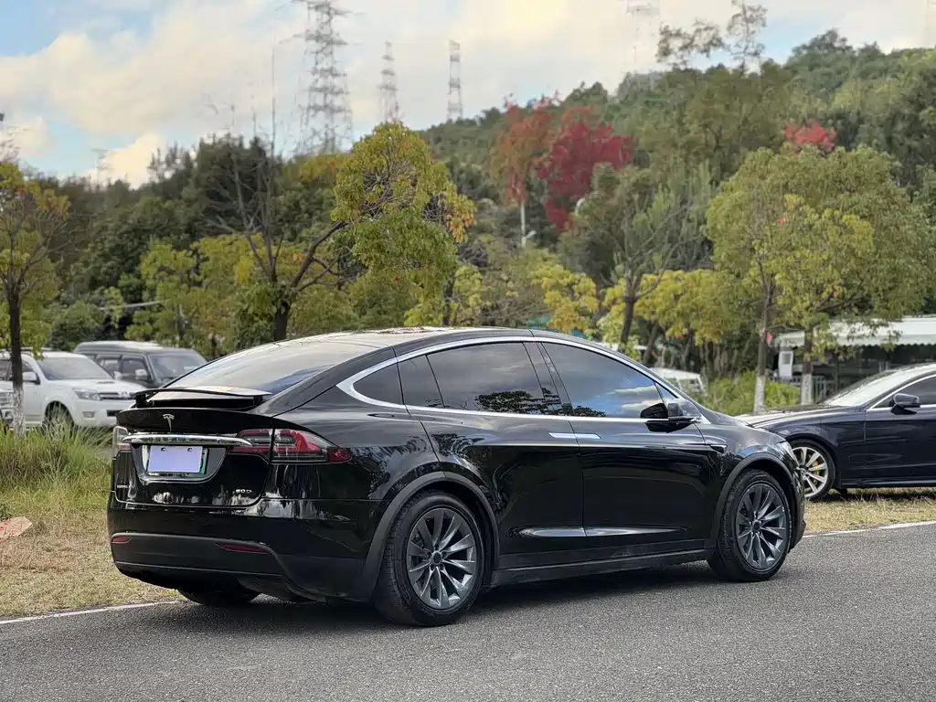 Tesla Model X — фото 9