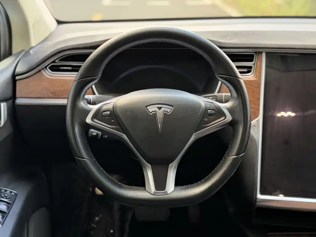Tesla Model X — фото 10