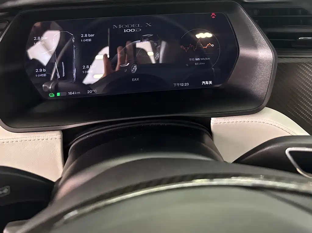 Tesla Model X — фото 11