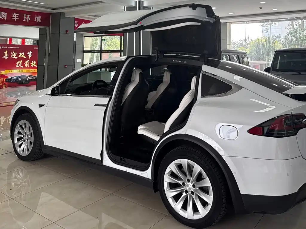 Tesla Model X — фото 13