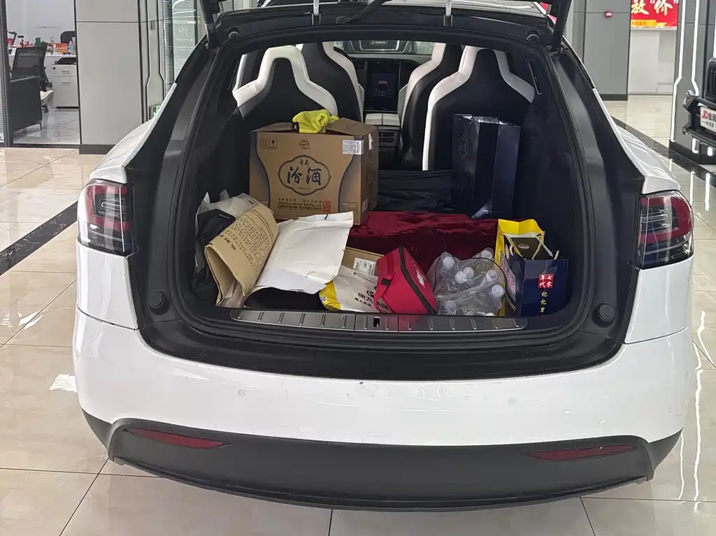 Tesla Model X — фото 14