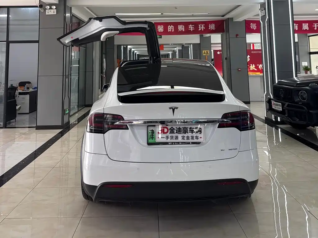 Tesla Model X — фото 15