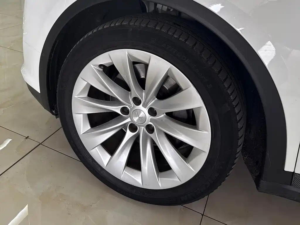 Tesla Model X — фото 6