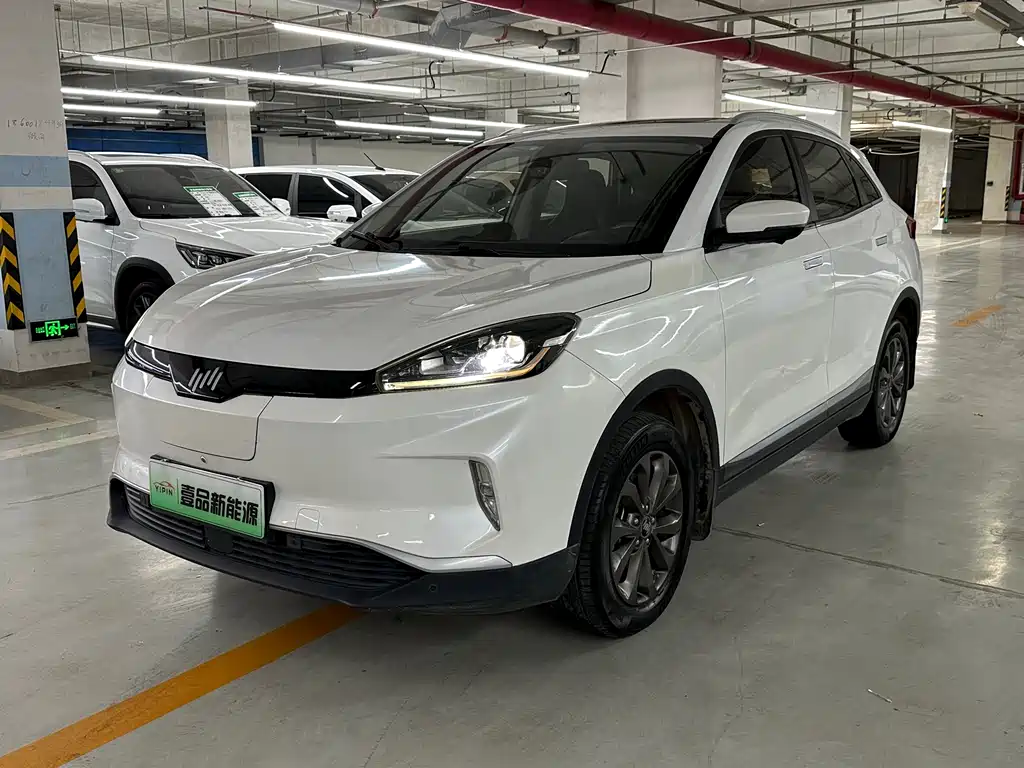 WM Motor EX5