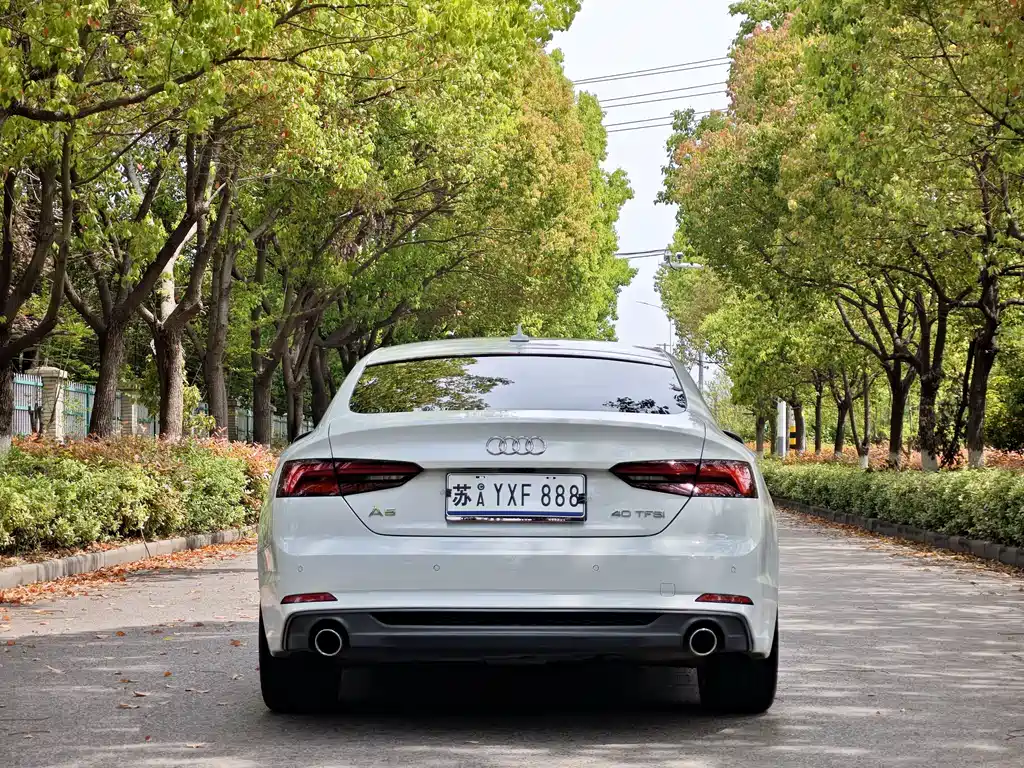 Audi A5 (Import) — фото 5