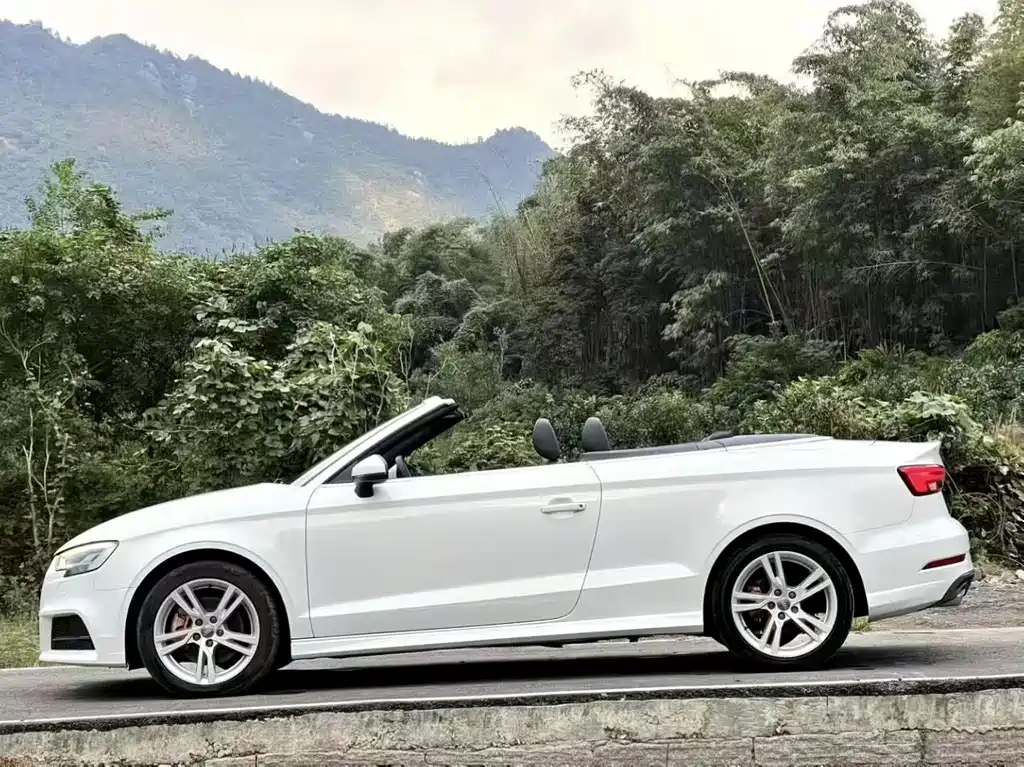 Audi A3 (Import) — фото 4