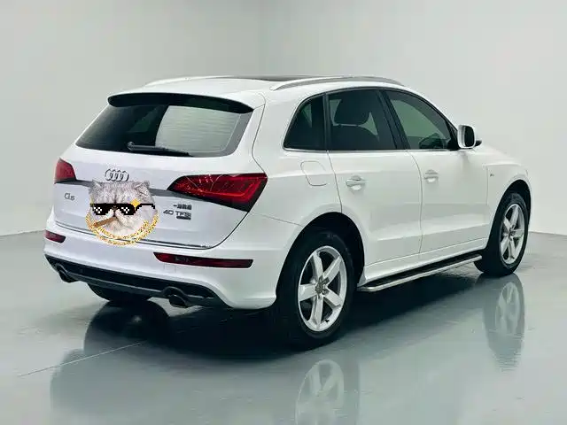 Audi Q5 — фото 18