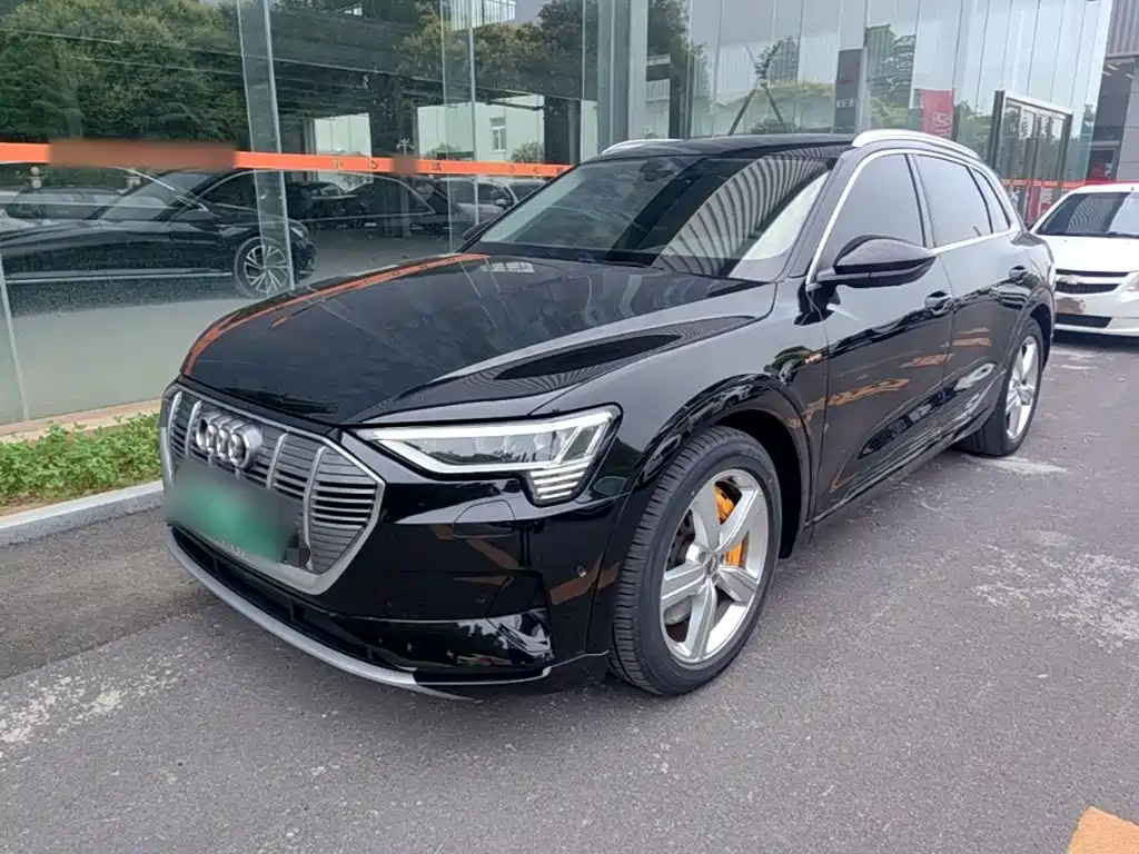 Audi e-tron (Import) — фото 2