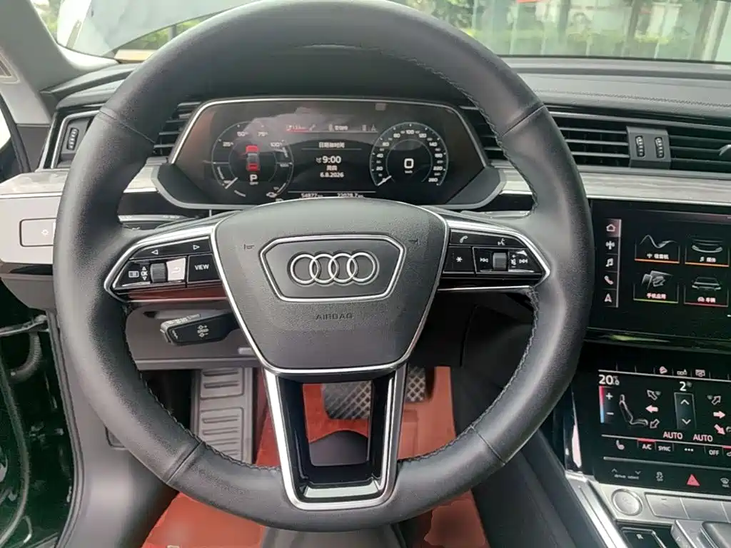 Audi e-tron (Import) — фото 11