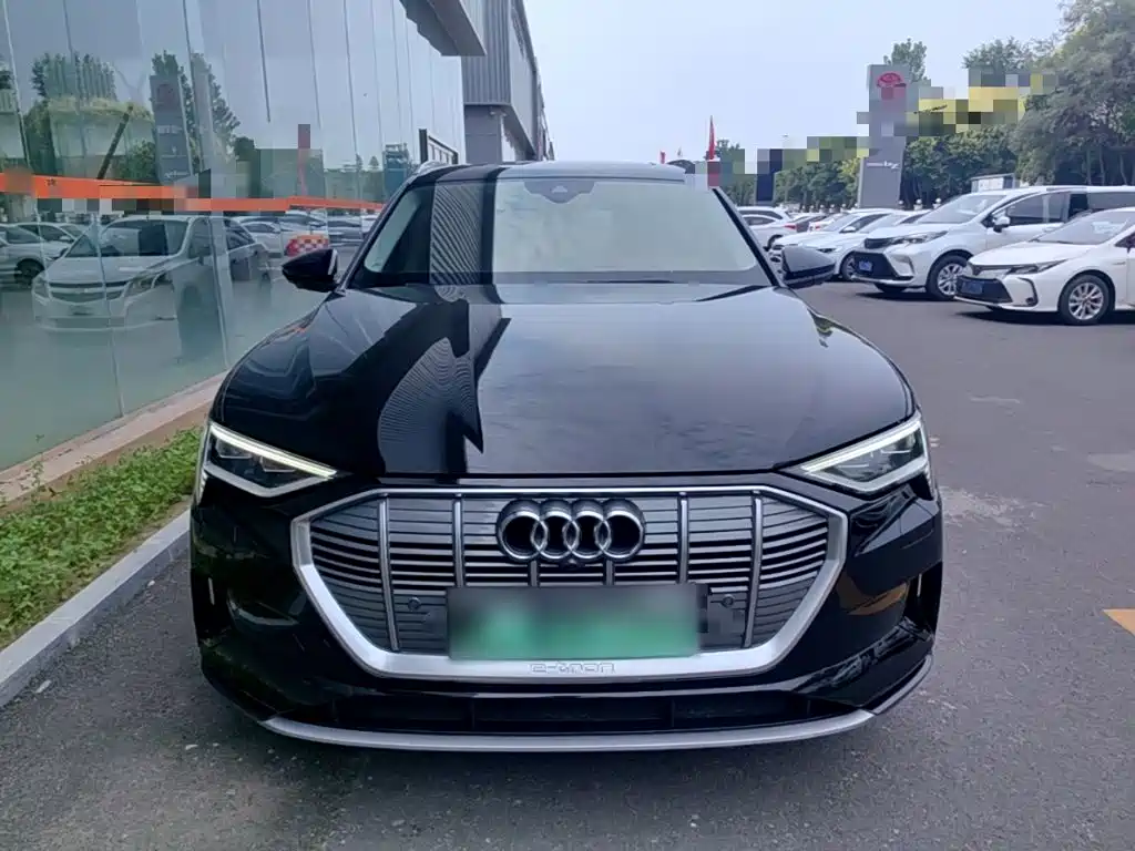 Audi e-tron (Import) — фото 3