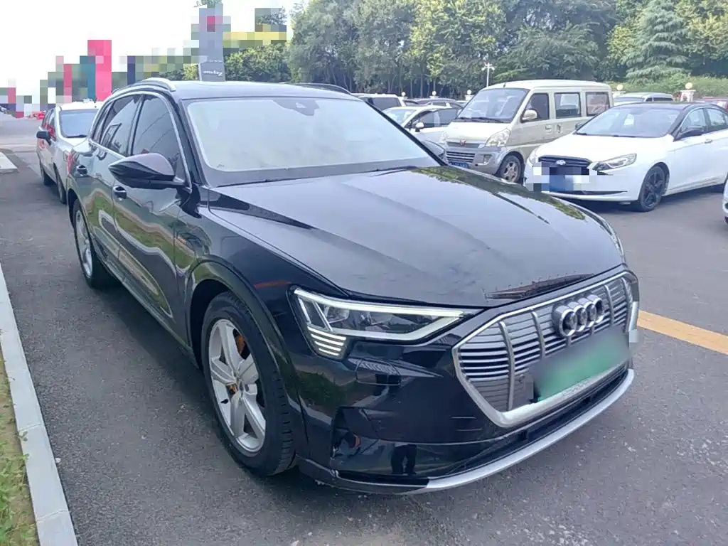 Audi e-tron (Import) — фото 4