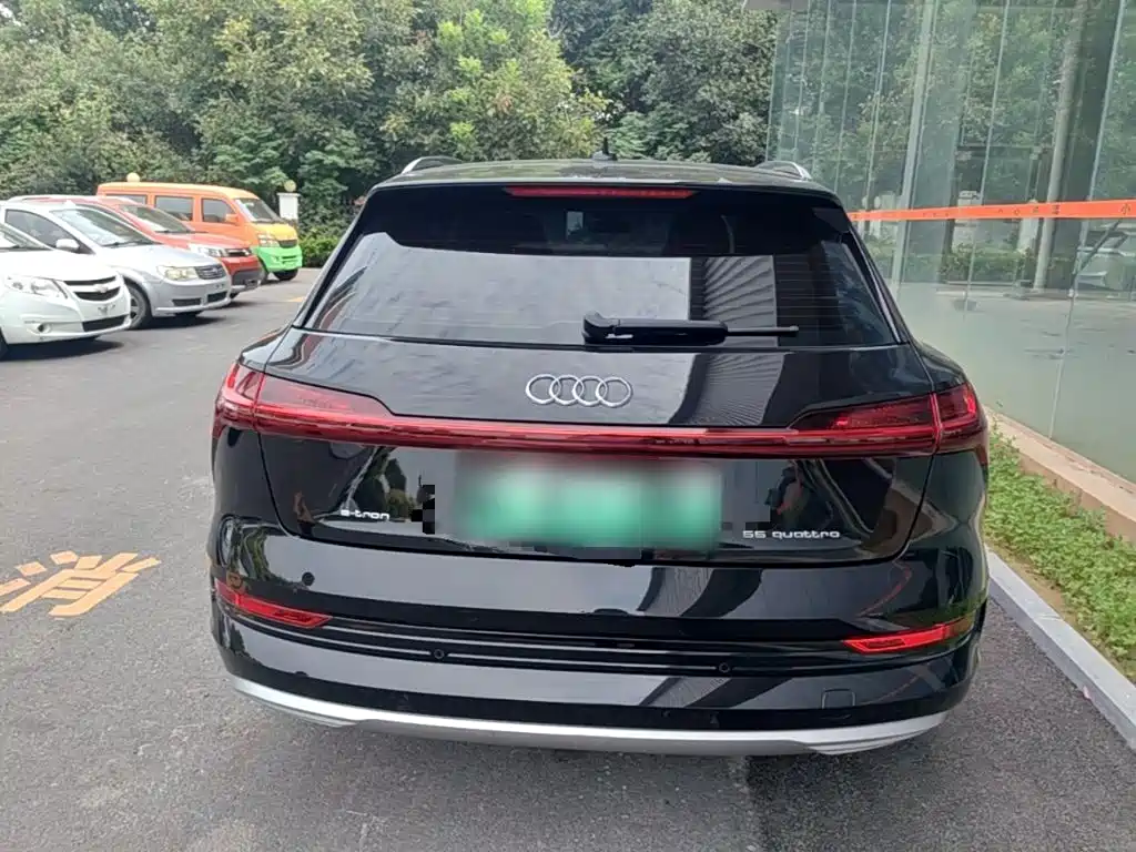Audi e-tron (Import) — фото 6