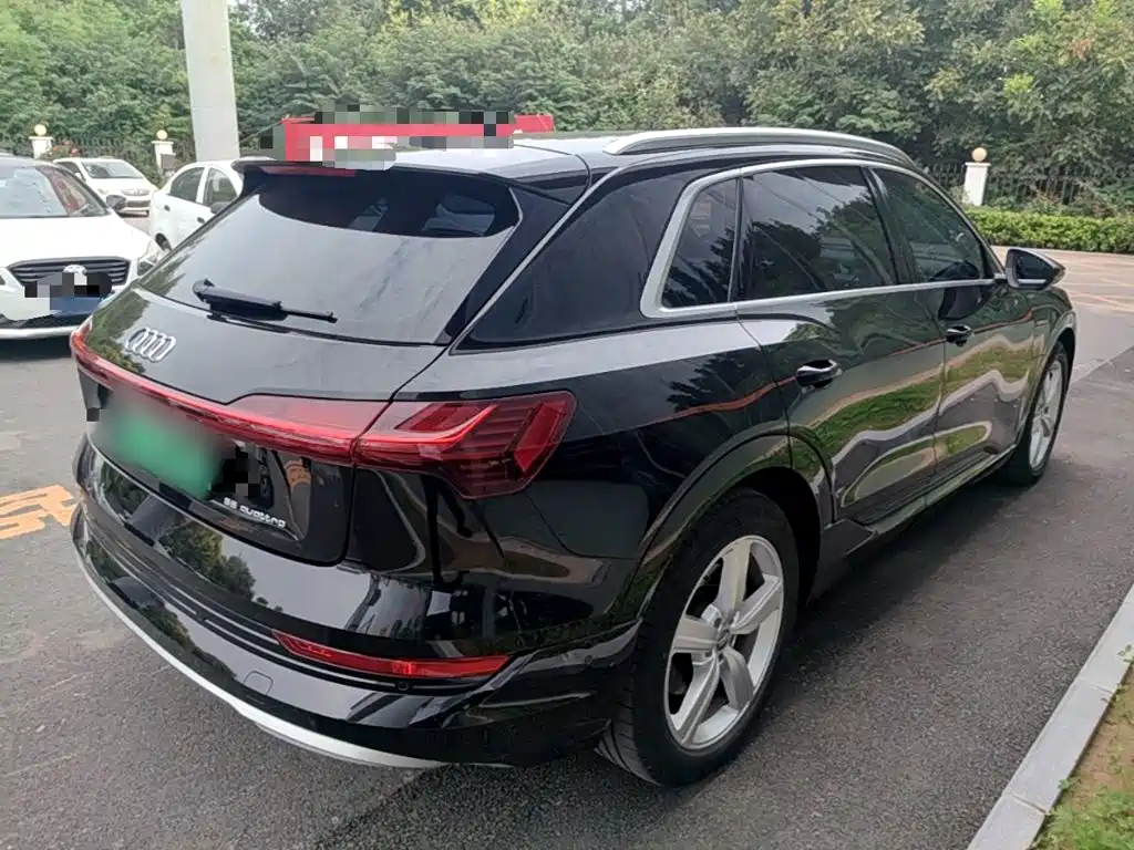 Audi e-tron (Import) — фото 7