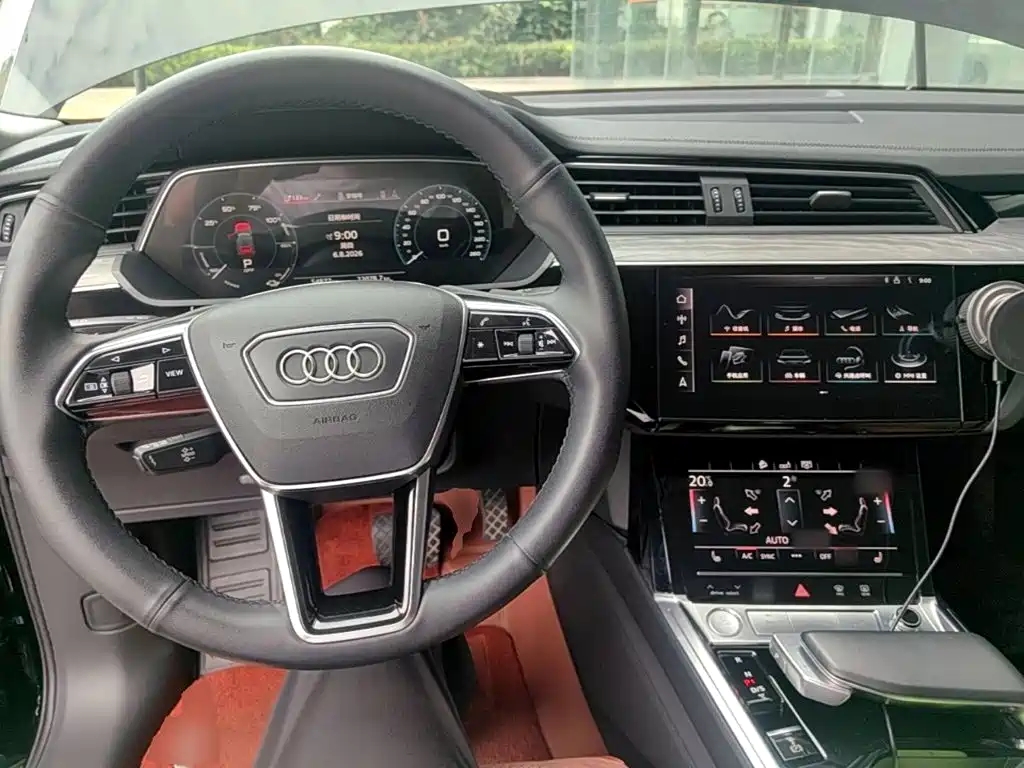 Audi e-tron (Import) — фото 10