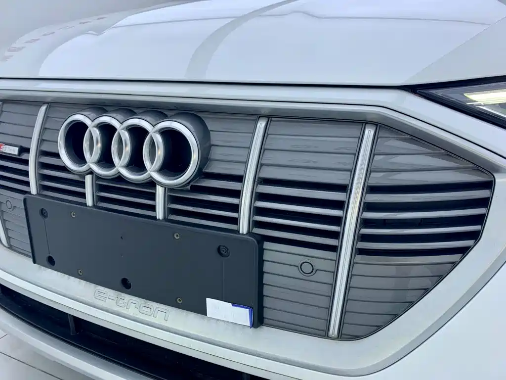 Audi e-tron — фото 8