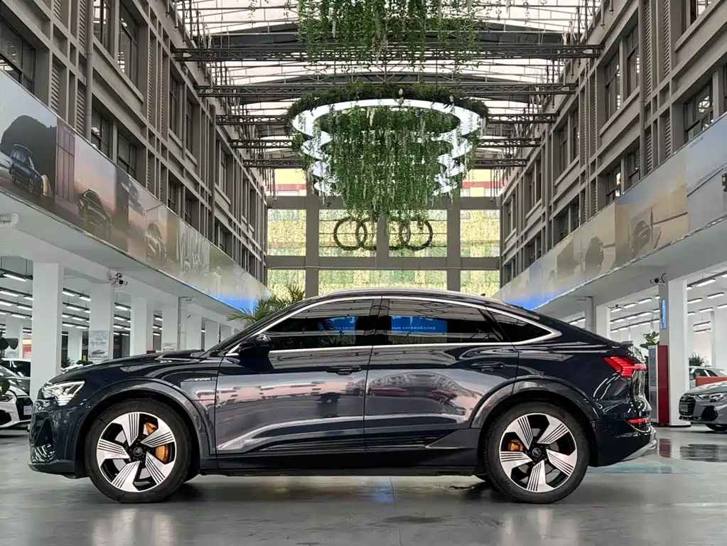 Audi e-tron (Import) — фото 2