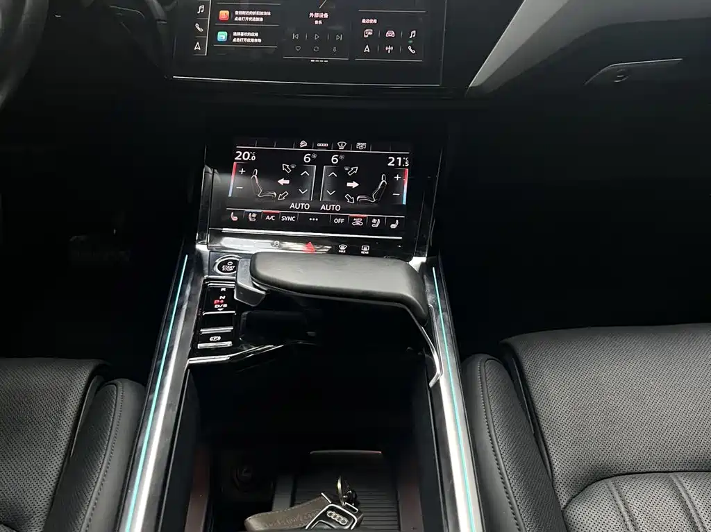 Audi e-tron (Import) — фото 15