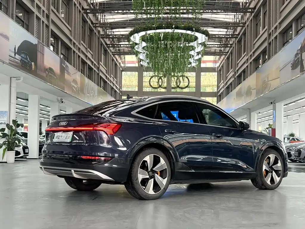 Audi e-tron (Import) — фото 3
