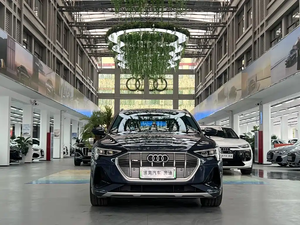 Audi e-tron (Import) — фото 4
