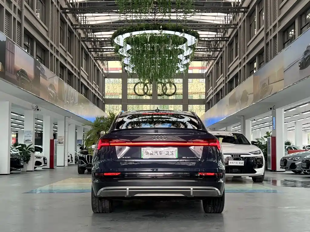 Audi e-tron (Import) — фото 5