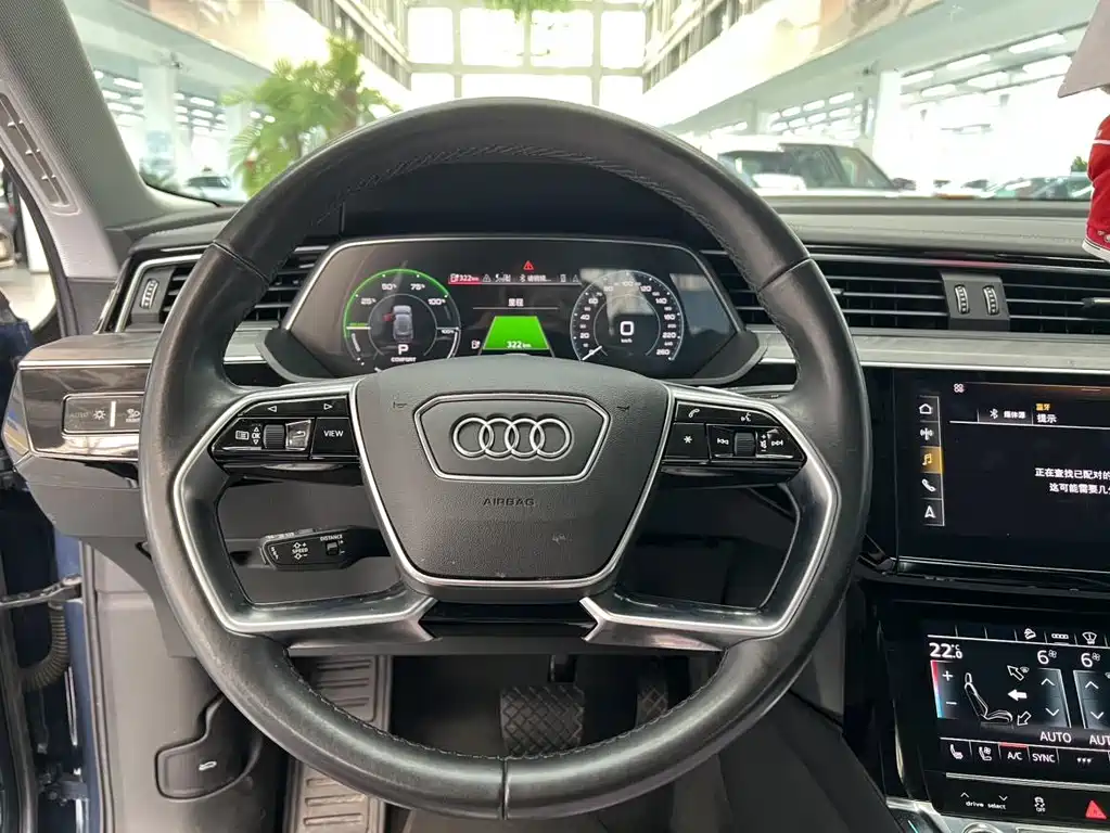 Audi e-tron (Import) — фото 9