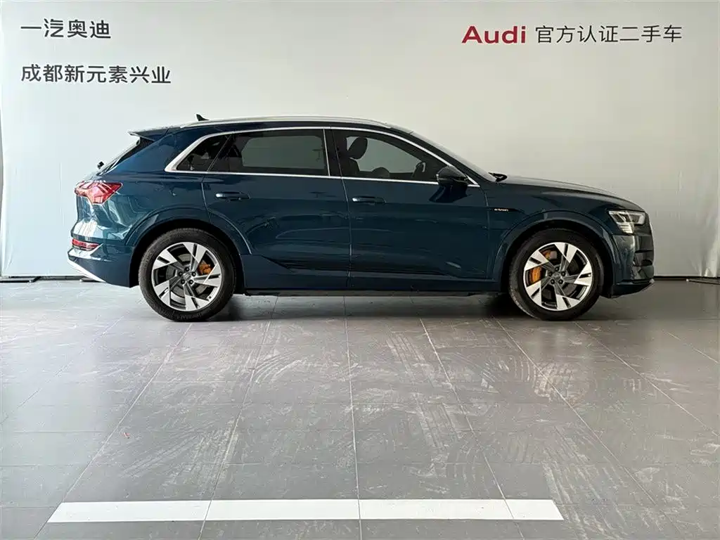 Audi e-tron (Import) — фото 3