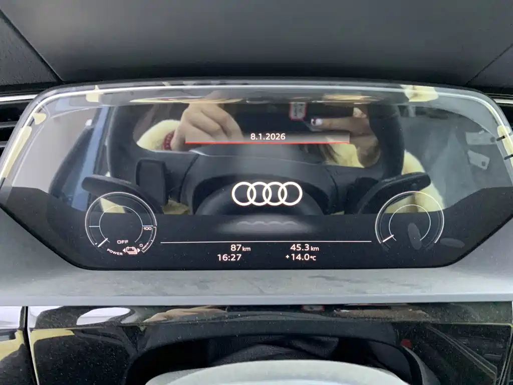 Audi e-tron — фото 20