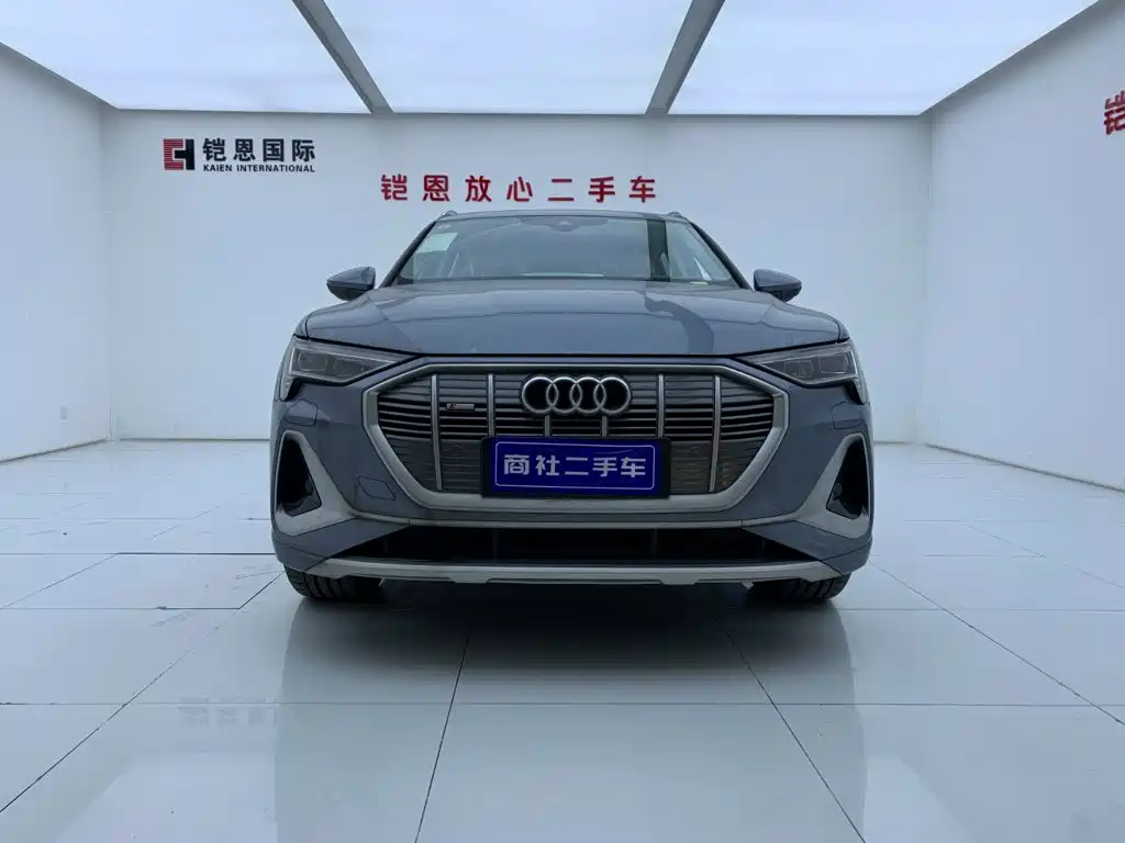 Audi e-tron — фото 3