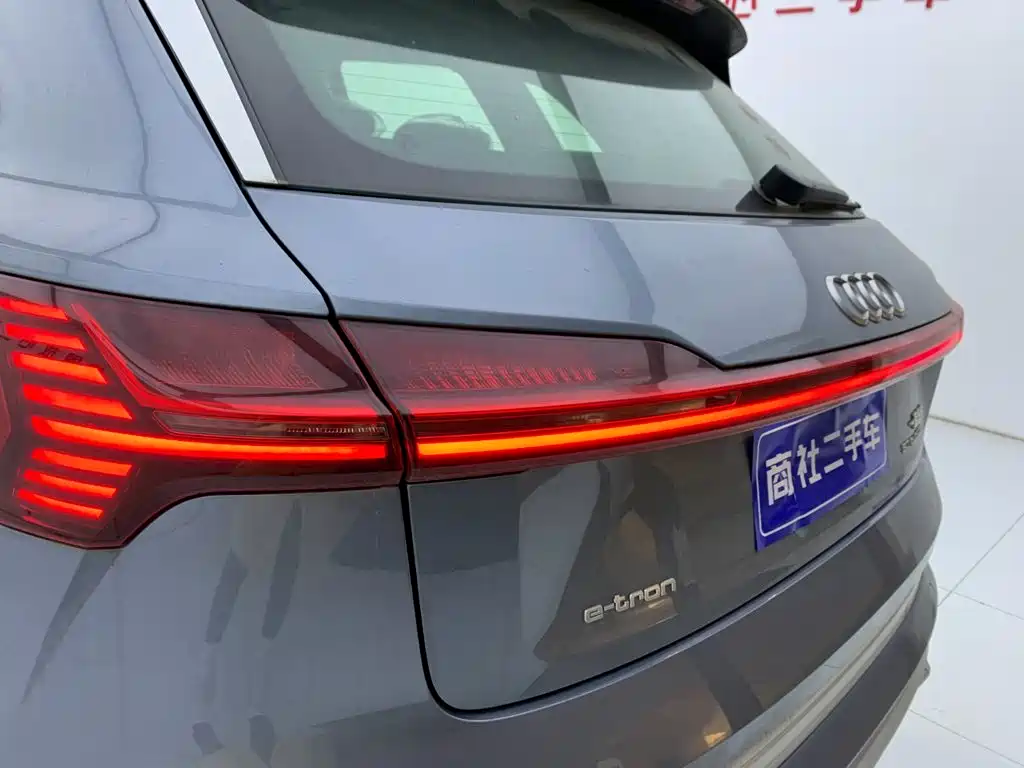 Audi e-tron — фото 10