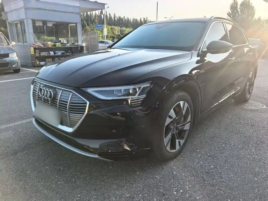 Audi e-tron (Import) — фото 2