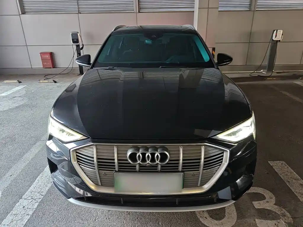 Audi e-tron (Import) — фото 3