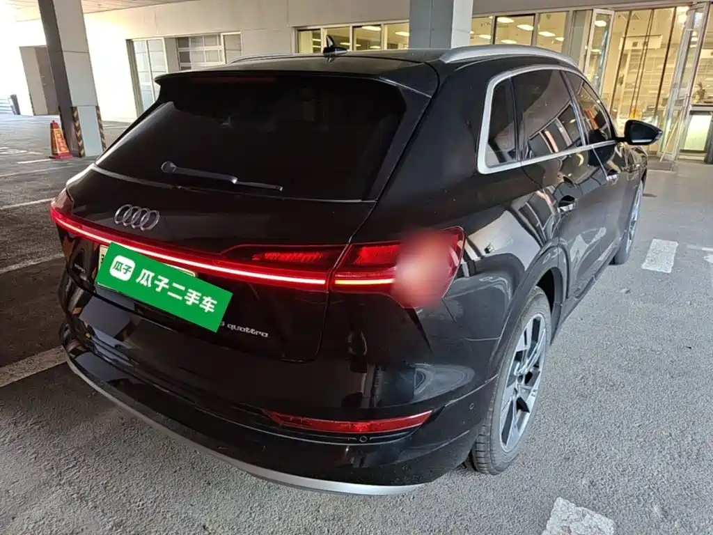 Audi e-tron (Import) — фото 5