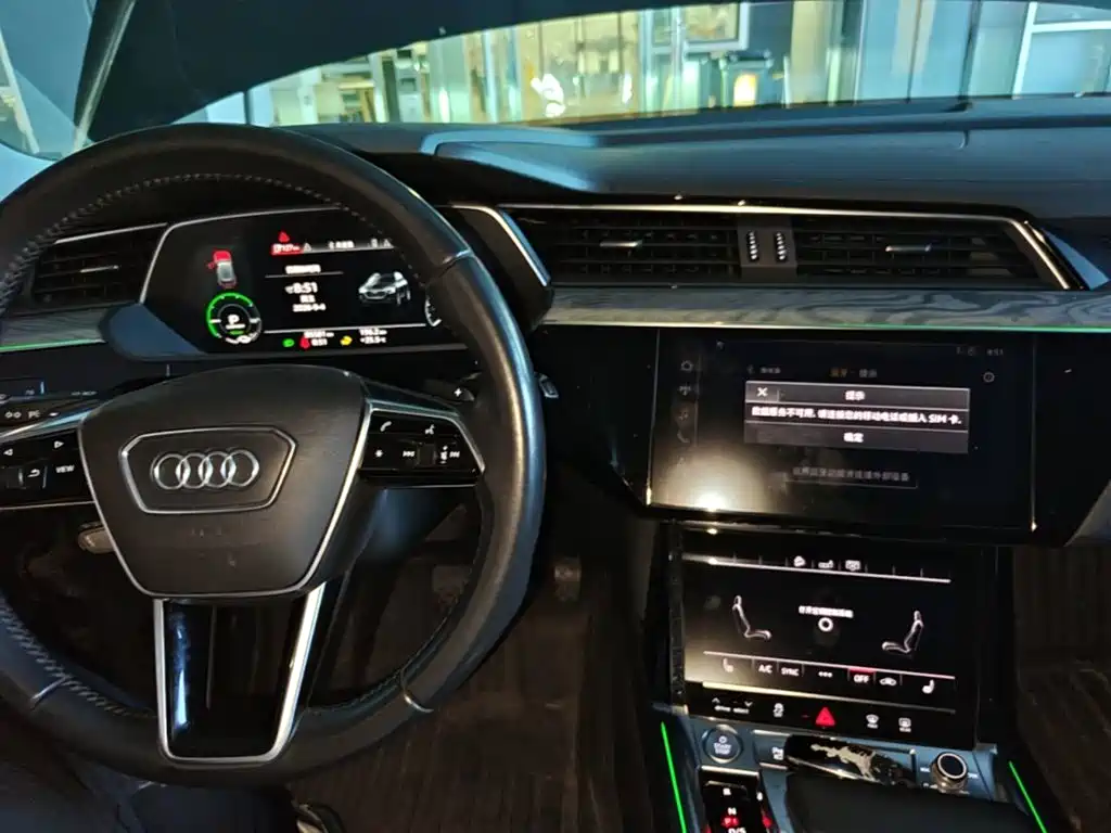 Audi e-tron (Import) — фото 6