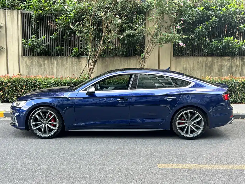 Audi S5 — фото 3
