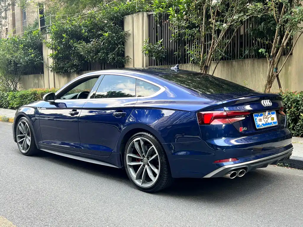 Audi S5 — фото 8