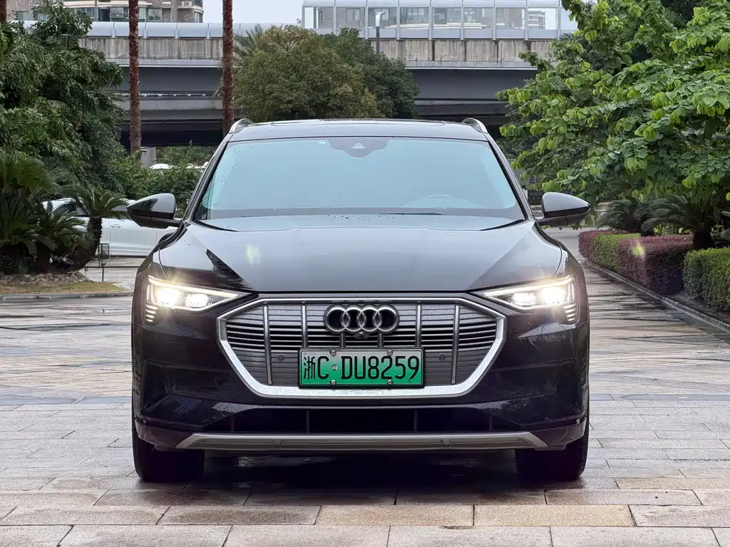 Audi e-tron (Import) — фото 2