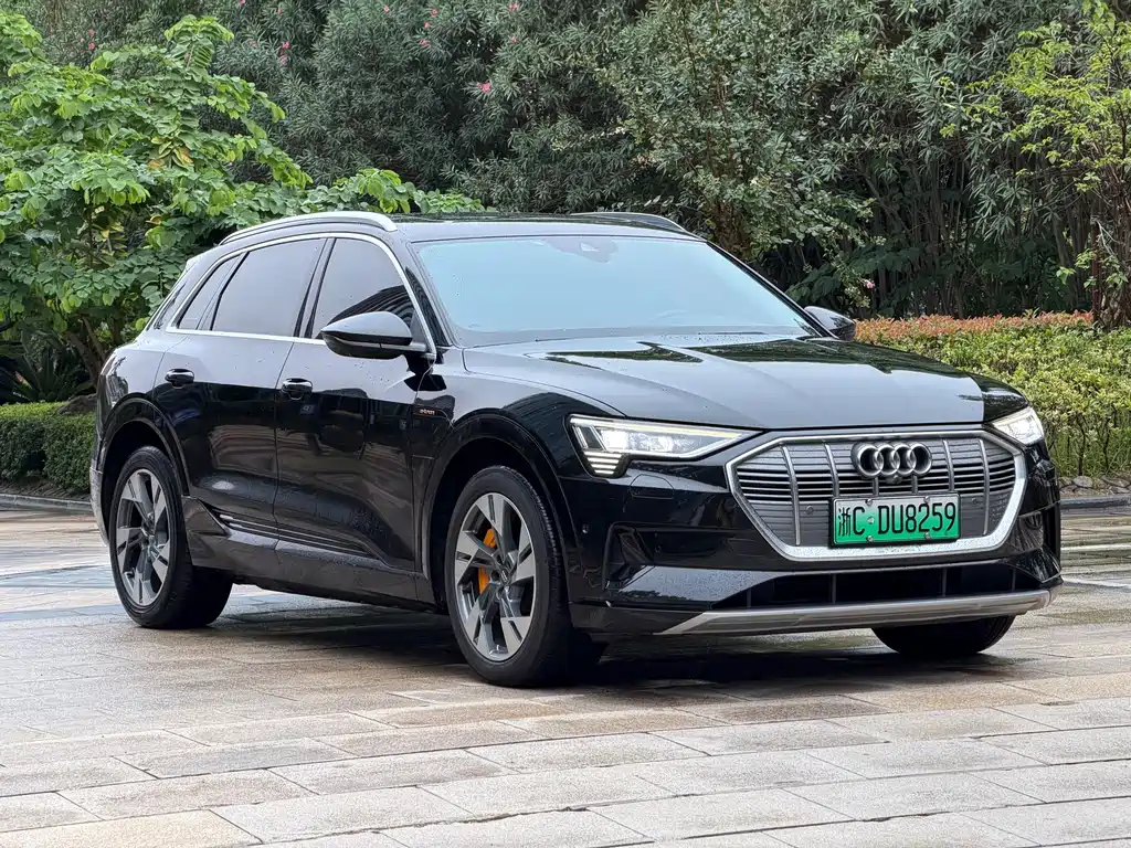 Audi e-tron (Import) — фото 3